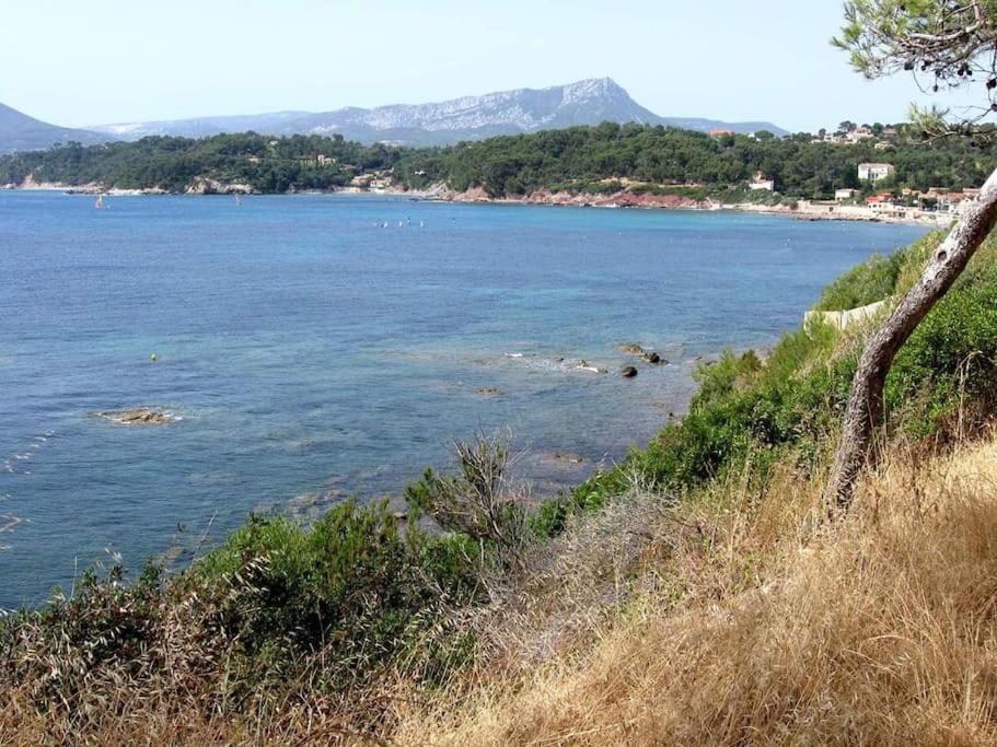 T2: 45M2 :4 Places :Independant Dans Villa Hyères المظهر الخارجي الصورة