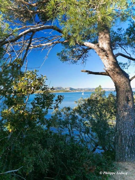 T2: 45M2 :4 Places :Independant Dans Villa Hyères المظهر الخارجي الصورة