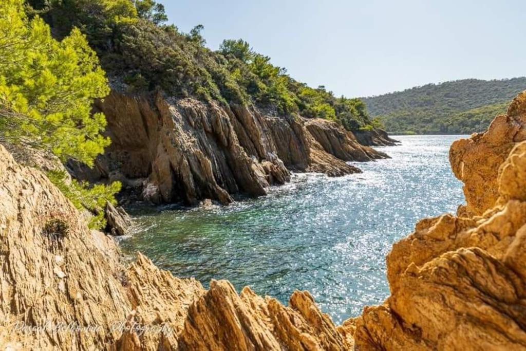 T2: 45M2 :4 Places :Independant Dans Villa Hyères المظهر الخارجي الصورة