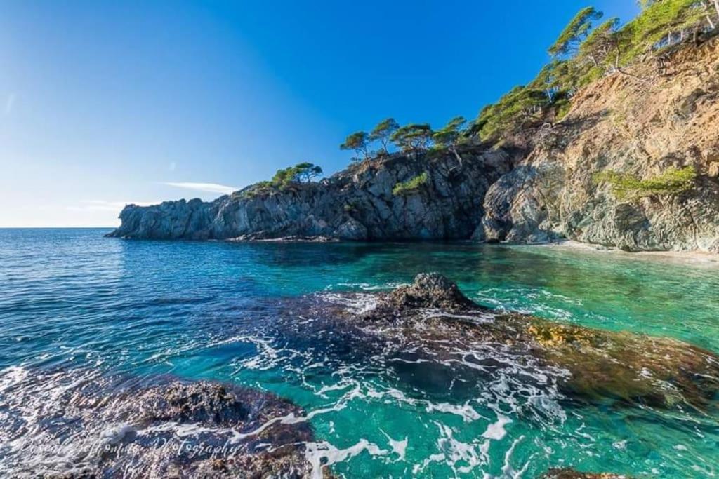 T2: 45M2 :4 Places :Independant Dans Villa Hyères المظهر الخارجي الصورة