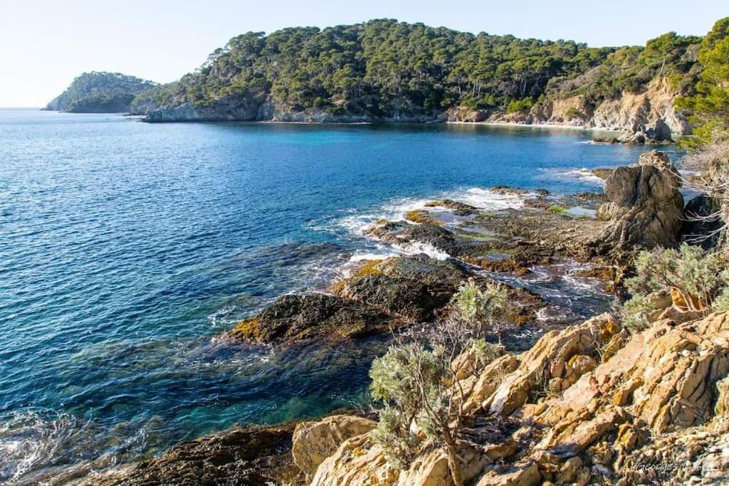 T2: 45M2 :4 Places :Independant Dans Villa Hyères المظهر الخارجي الصورة