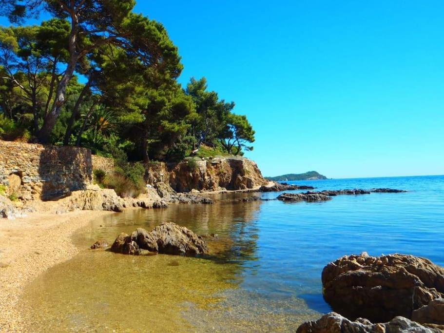 T2: 45M2 :4 Places :Independant Dans Villa Hyères المظهر الخارجي الصورة